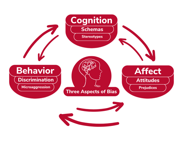 Cognition has Schemas which has Stereotypes with an arrow pointing to Affect which has Attitudes which has Prejudices underneath which has an arrow pointing to and from Behavior which has Discrimination which has Microaggression underneath which has an arrow to and from Cognition